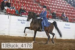 13buck_4178 thumbnail