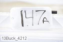 13buck_4212 thumbnail