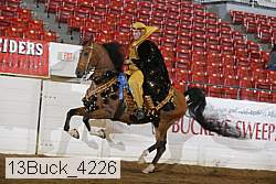 13buck_4226 thumbnail