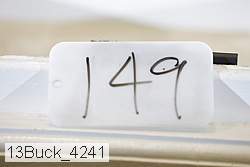 13buck_4241 thumbnail