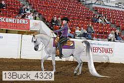 13buck_4329 thumbnail