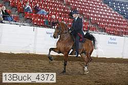 13buck_4372 thumbnail