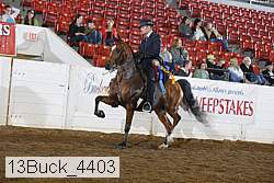 13buck_4403 thumbnail