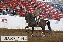 13buck_4442 thumbnail