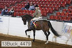 13buck_4479 thumbnail