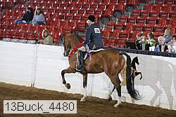 13buck_4480 thumbnail