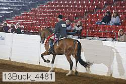 13buck_4481 thumbnail