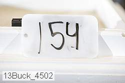 13buck_4502 thumbnail