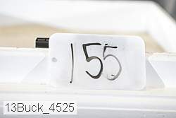 13buck_4525 thumbnail