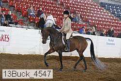 13buck_4547 thumbnail