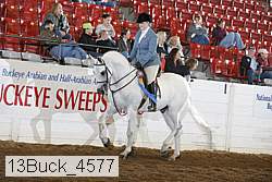 13buck_4577 thumbnail