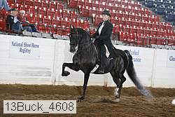 13buck_4608 thumbnail