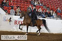 13buck_4659 thumbnail