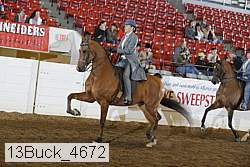 13buck_4672 thumbnail