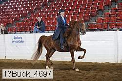 13buck_4697 thumbnail