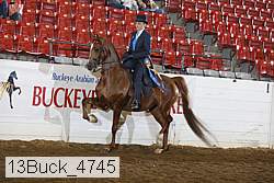 13buck_4745 thumbnail