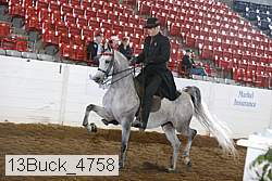 13buck_4758 thumbnail