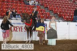 13buck_4803 thumbnail