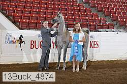 13buck_4874 thumbnail