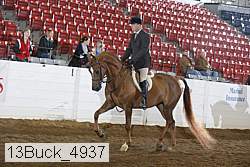 13buck_4937 thumbnail