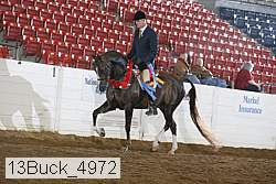 13buck_4972 thumbnail