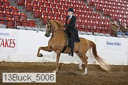 13buck_5006 thumbnail