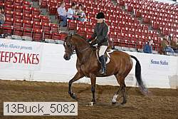 13buck_5082 thumbnail