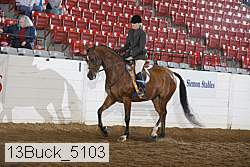 13buck_5103 thumbnail