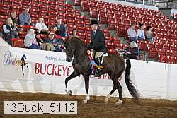 13buck_5112 thumbnail