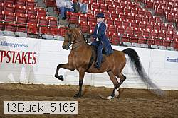 13buck_5165 thumbnail