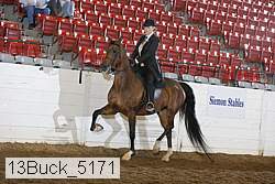 13buck_5171 thumbnail