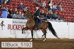 13buck_5192 thumbnail