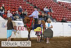 13buck_5226 thumbnail