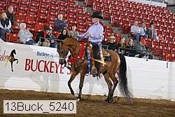 13buck_5240 thumbnail