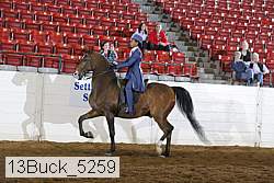 13buck_5259 thumbnail