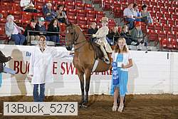13buck_5273 thumbnail