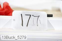 13buck_5279 thumbnail