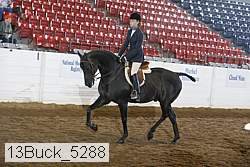 13buck_5288 thumbnail