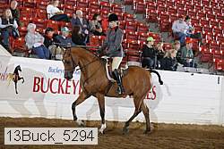 13buck_5294 thumbnail