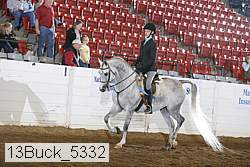 13buck_5332 thumbnail