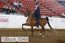 13buck_5349 thumbnail