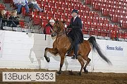 13buck_5353 thumbnail