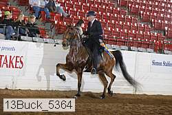 13buck_5364 thumbnail