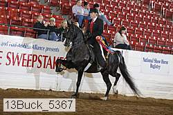 13buck_5367 thumbnail