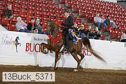 13buck_5371 thumbnail