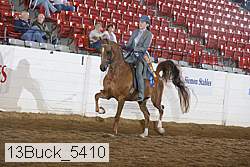 13buck_5410 thumbnail