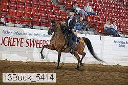 13buck_5414 thumbnail