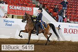 13buck_5415 thumbnail