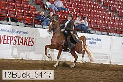 13buck_5417 thumbnail