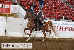 13buck_5419 thumbnail